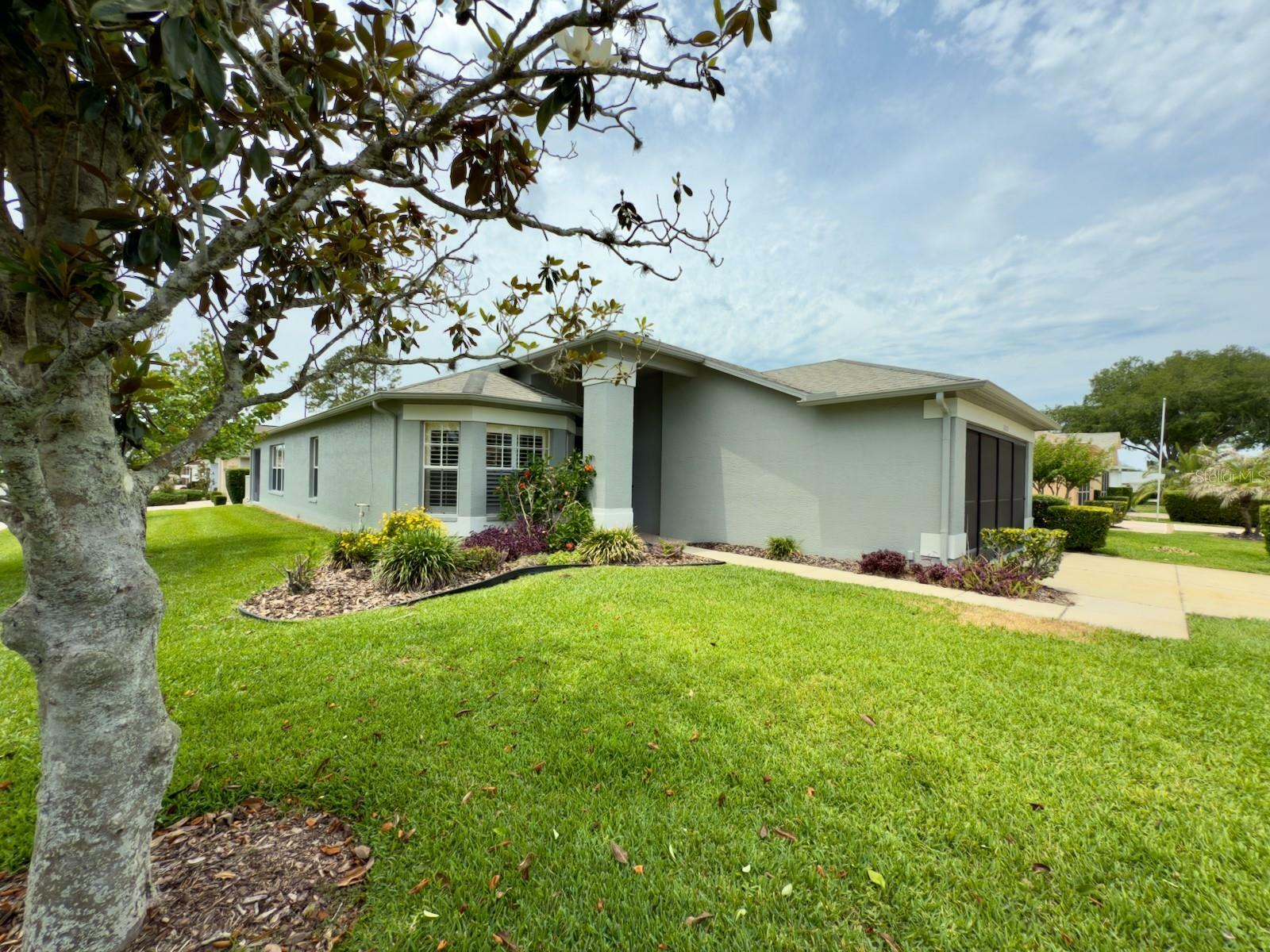 Property Photo: 18109 Webster Grove Drive FL 34667
