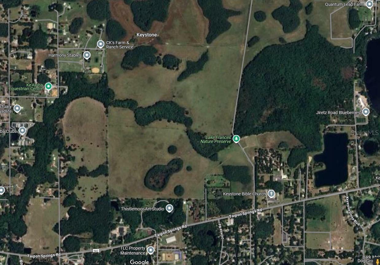 Property Photo: 11111 Burrell Road FL 33556