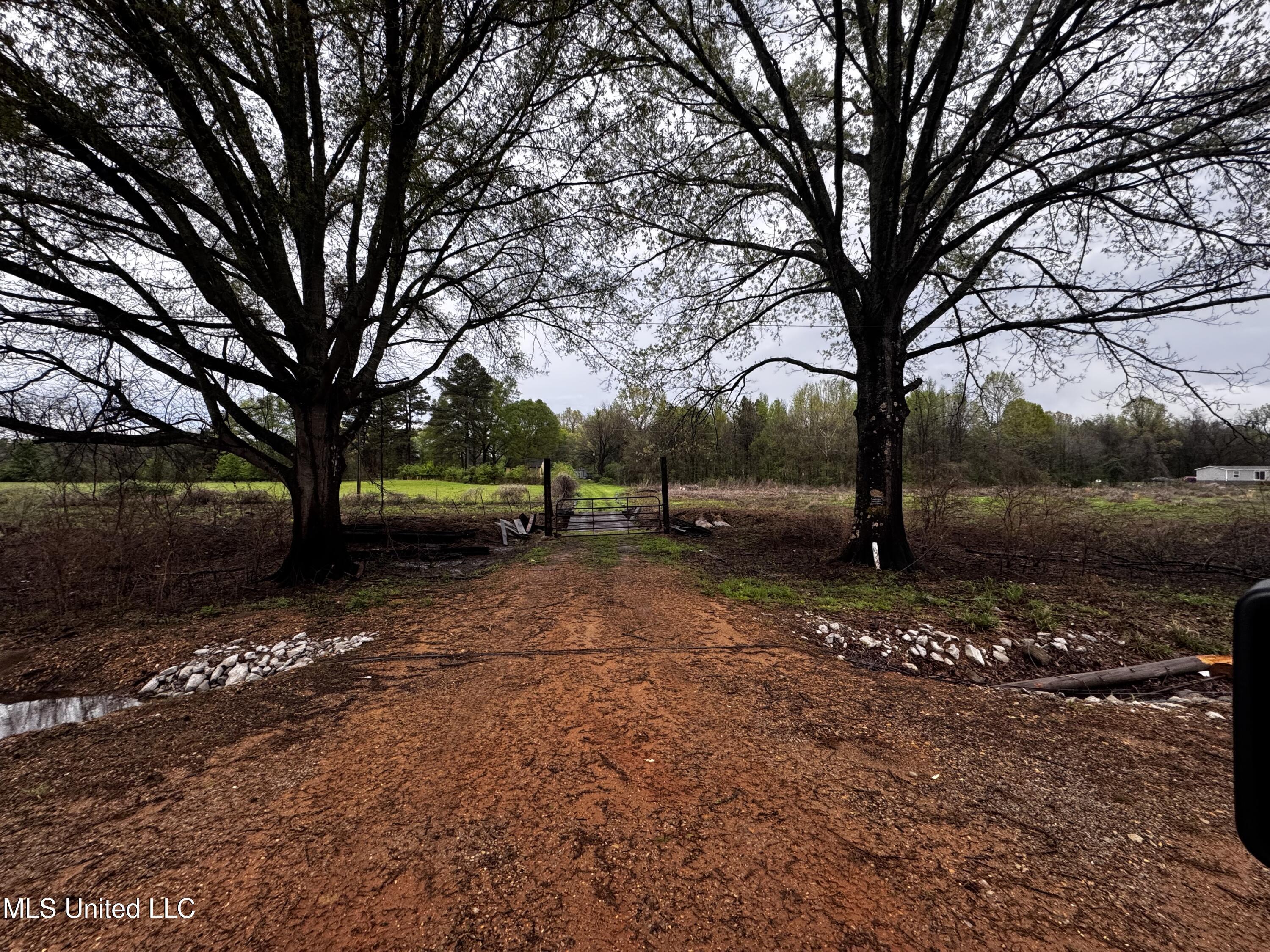 Property Photo:  4595 Lucius Taylor Road  MS 38619 