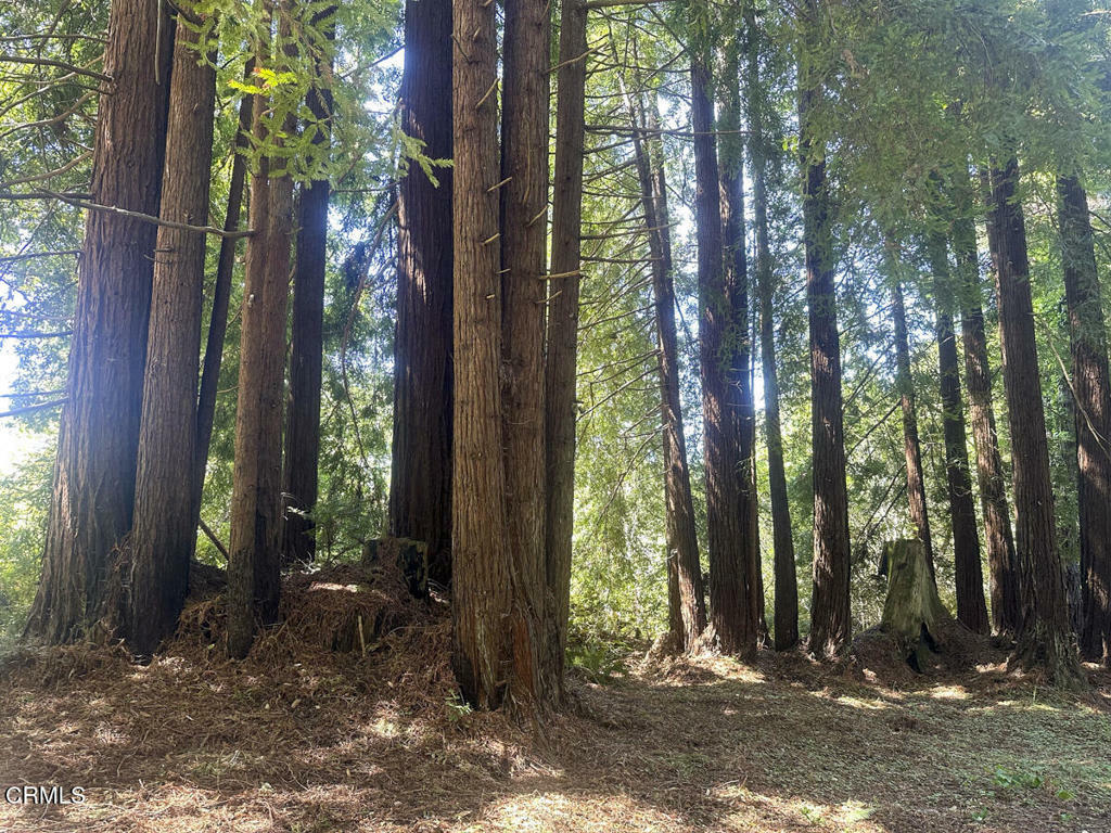 Property Photo: 31320 Airport Road CA 95437