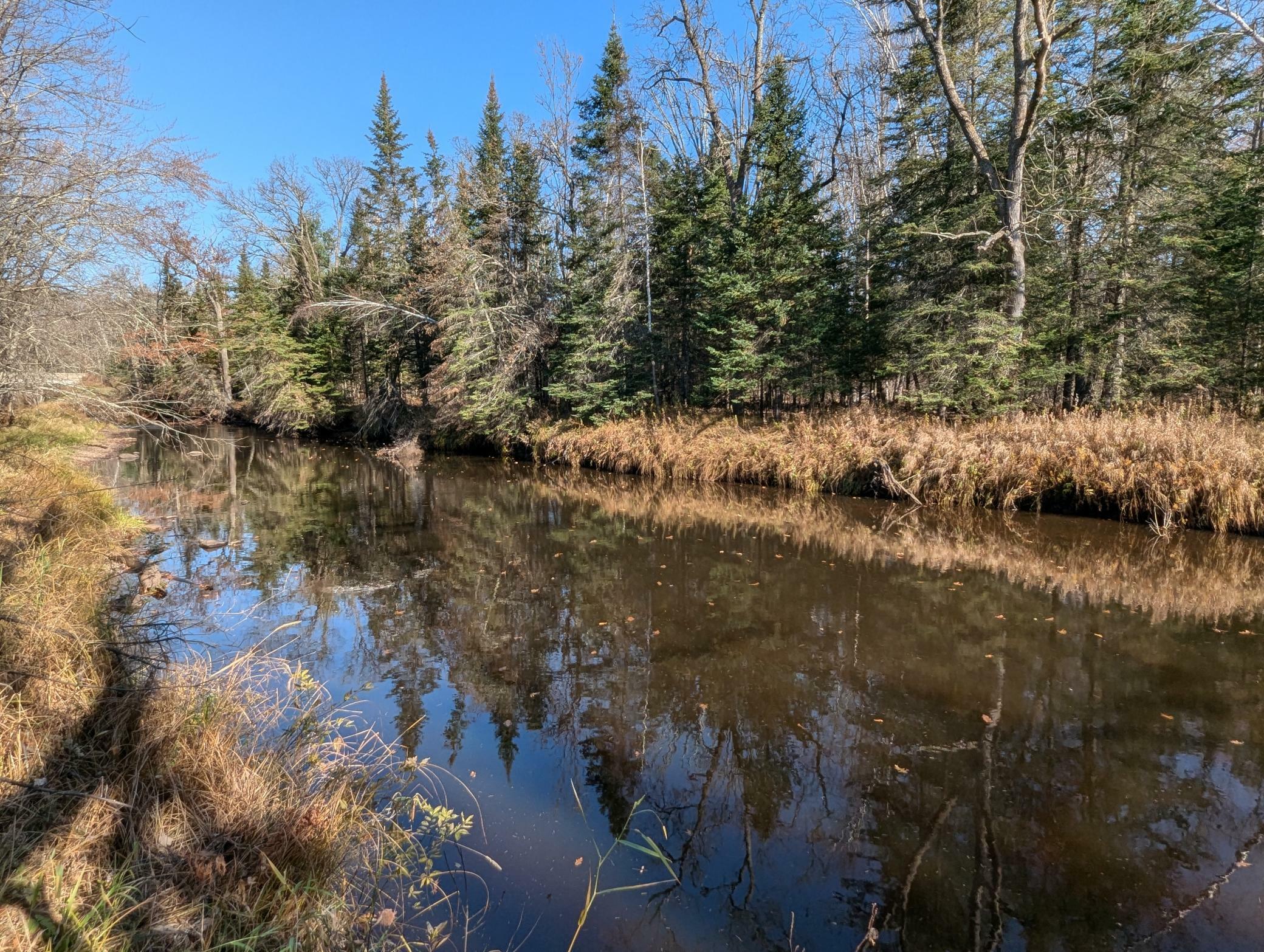 Property Photo: 24328 Rutledge Road MN 55795