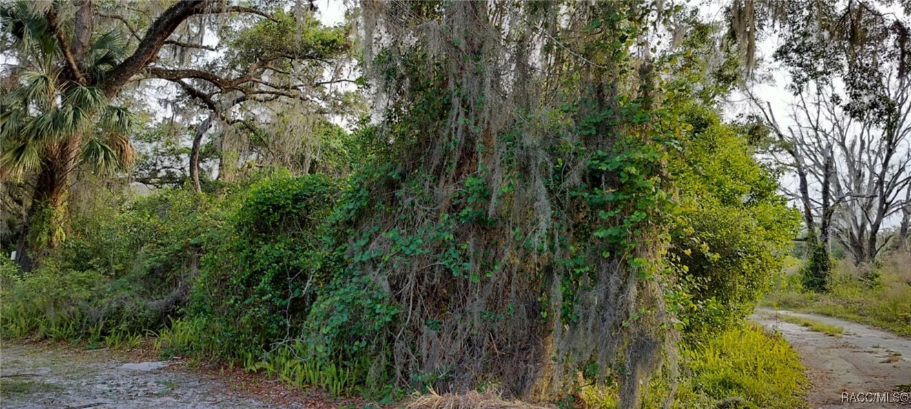 Property Photo: 63 N Sheltering Oaks Drive FL 34453
