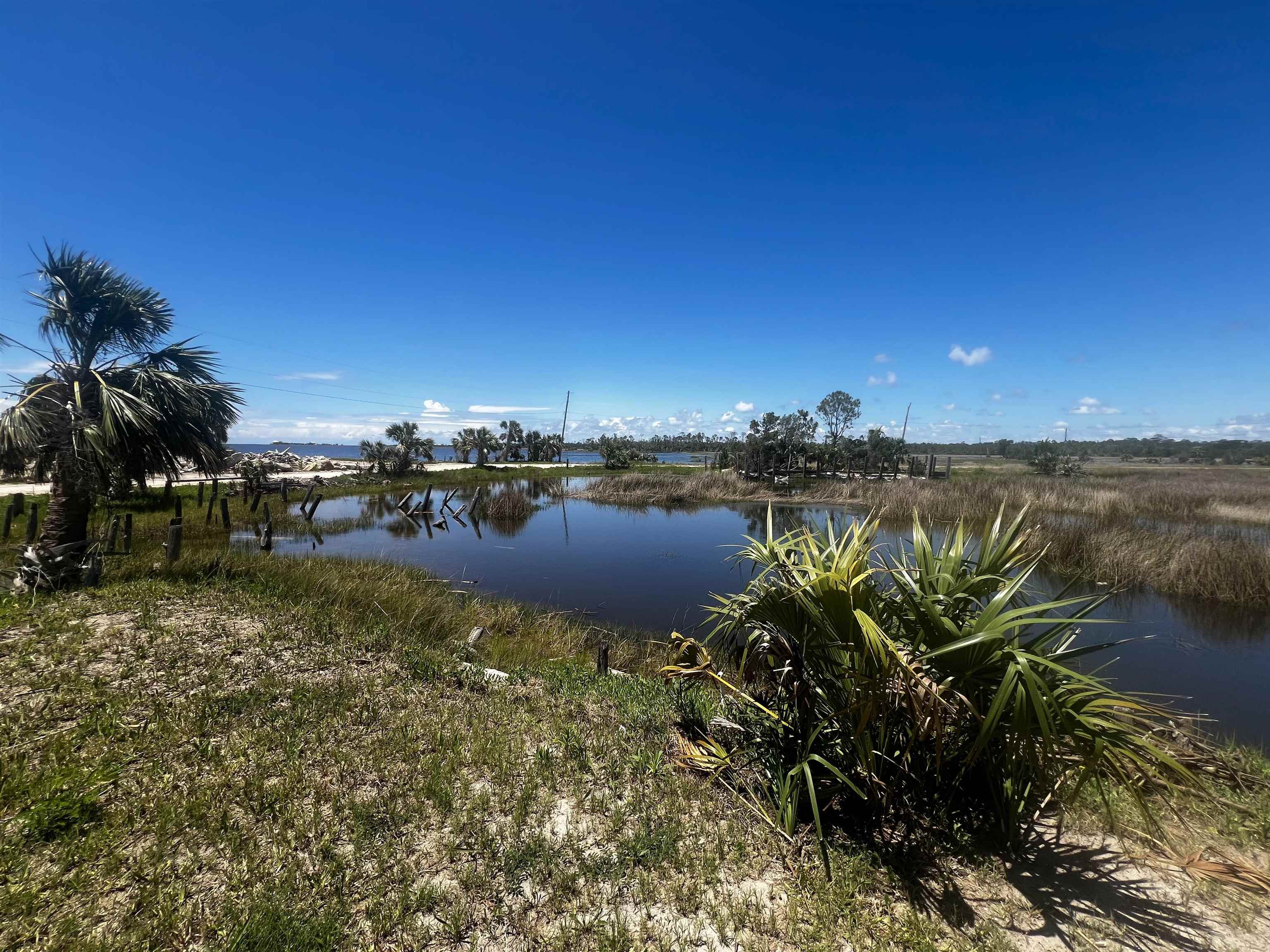 Property Photo: 000 Ezell Beach Road FL 32348