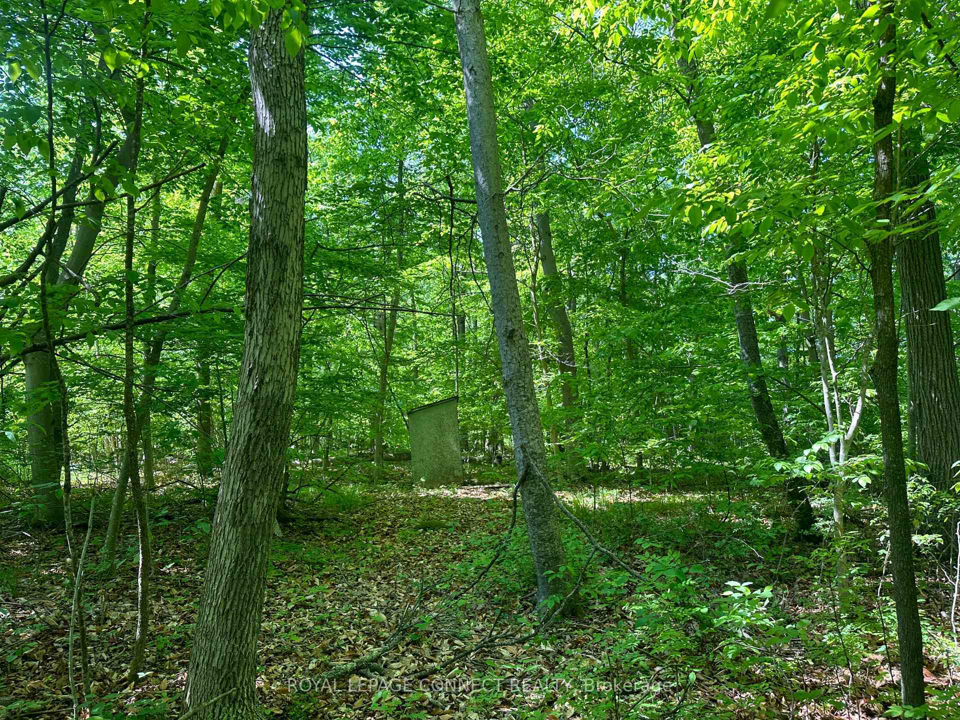 Property Photo:  20 Riverside Drive  ON K0L 1L0 