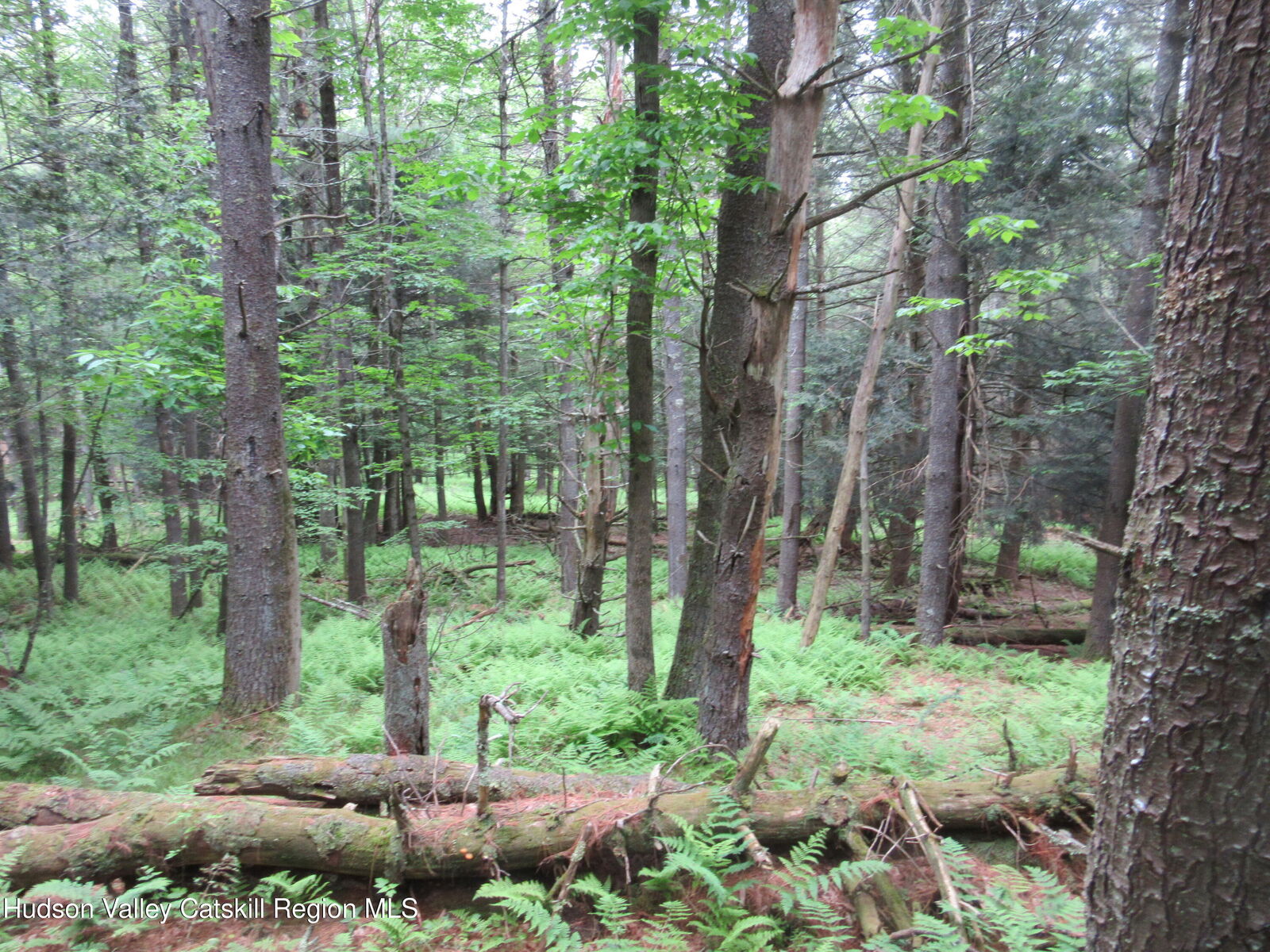 Property Photo: 0 Route 23C Lot#1 NY 12452