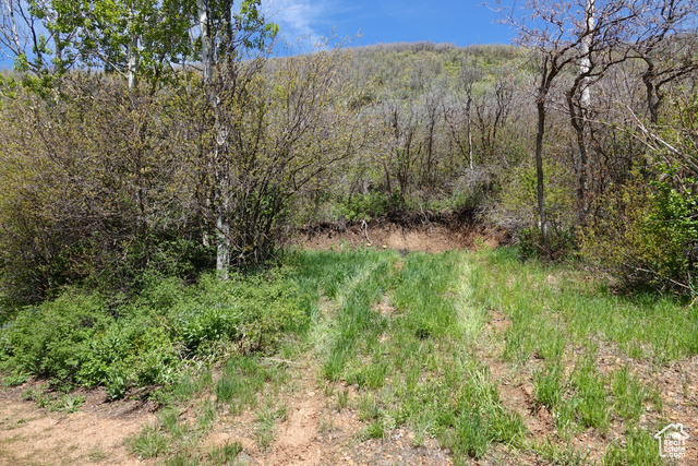 Property Photo: 558 Mill Rd 136 UT 84317