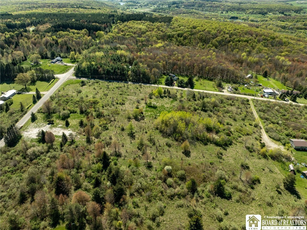 522 Bush Hill Road  Franklinville NY 14737 photo