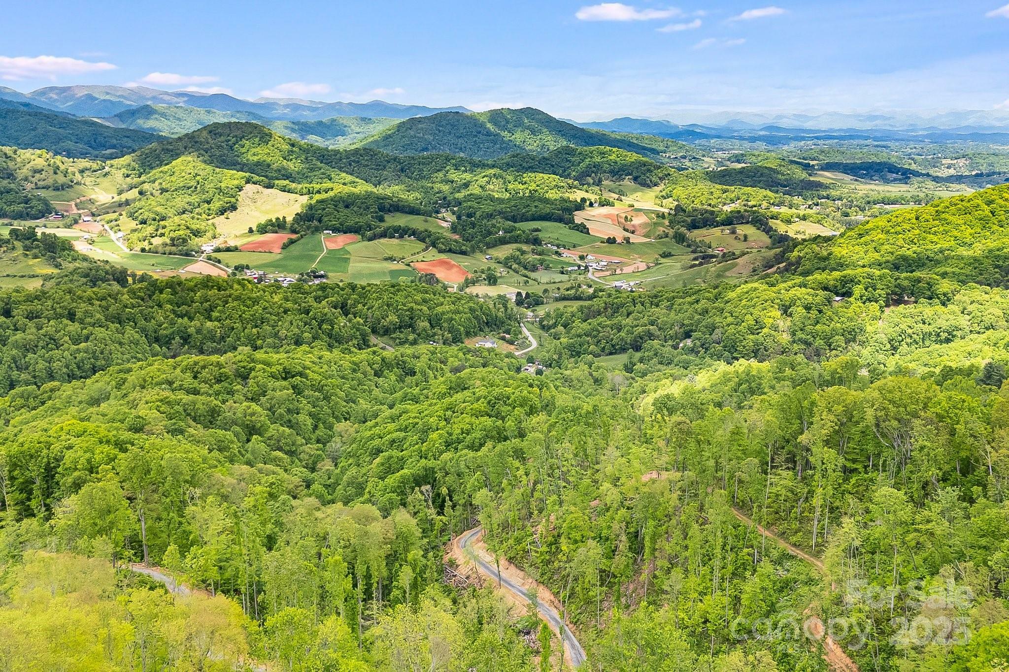 Property Photo: 99999 Hookers Gap Road NC 28748