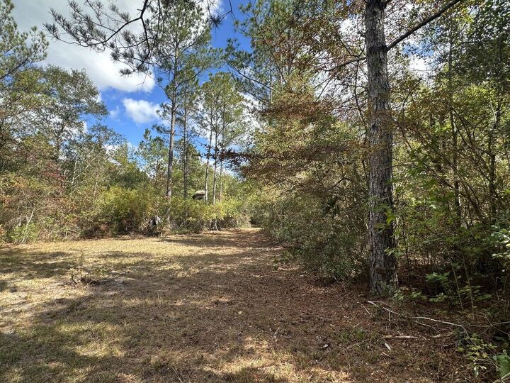 Property Photo: 20 Ac Lacey Lane FL 32536