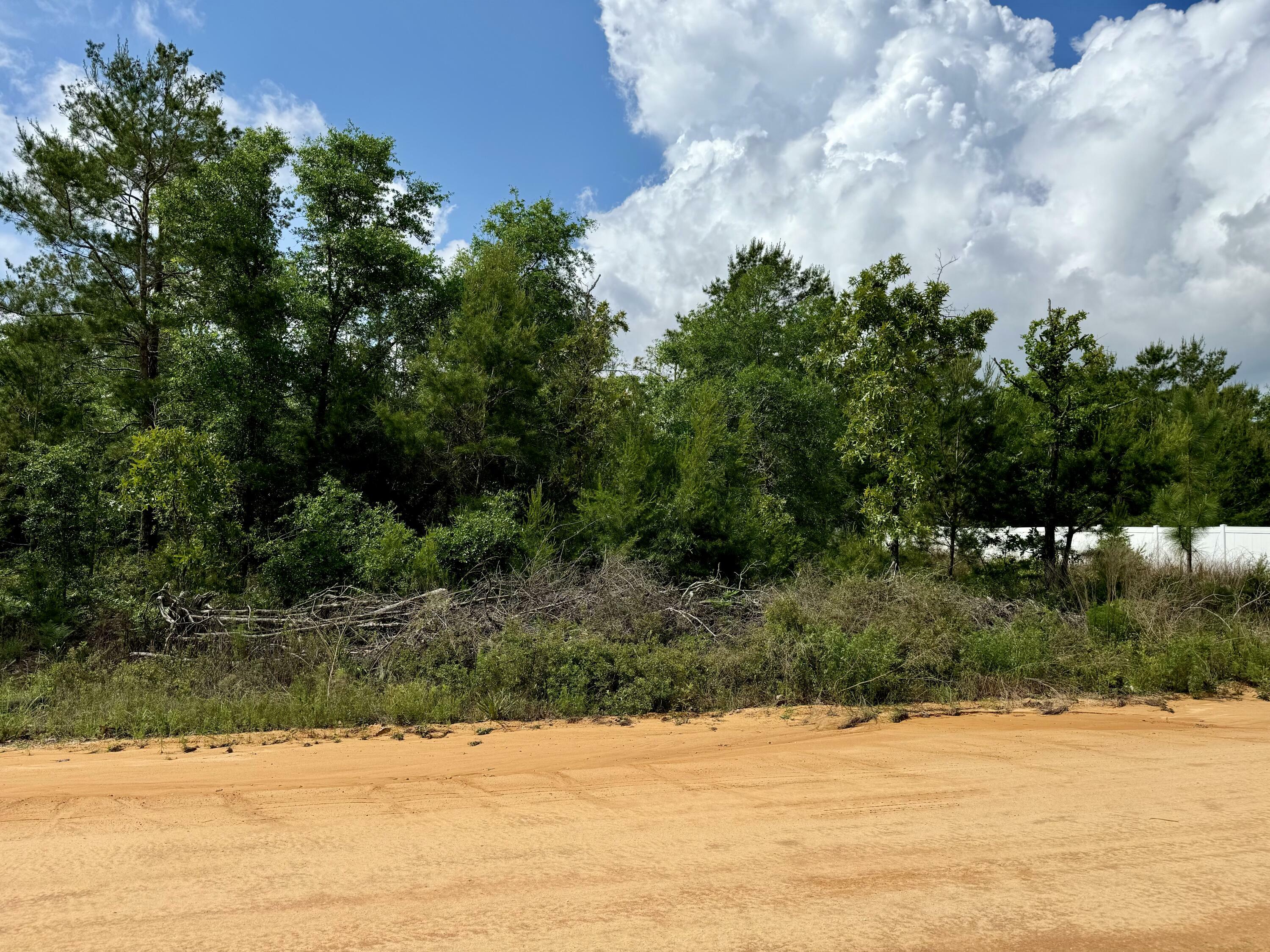 Property Photo:  Lot 3 E Marigold Avenue  FL 32433 