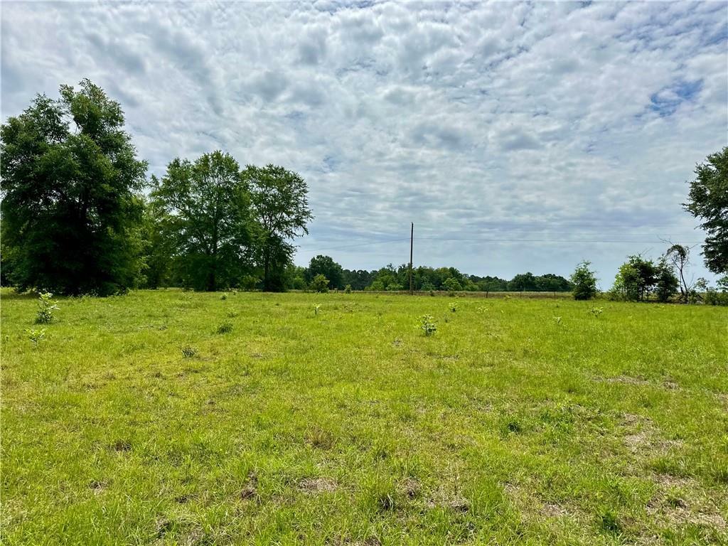 Property Photo: 00 Johnson Road AL 36375
