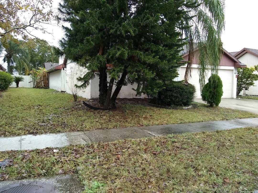Property Photo: 2011 N 61st Street FL 33619