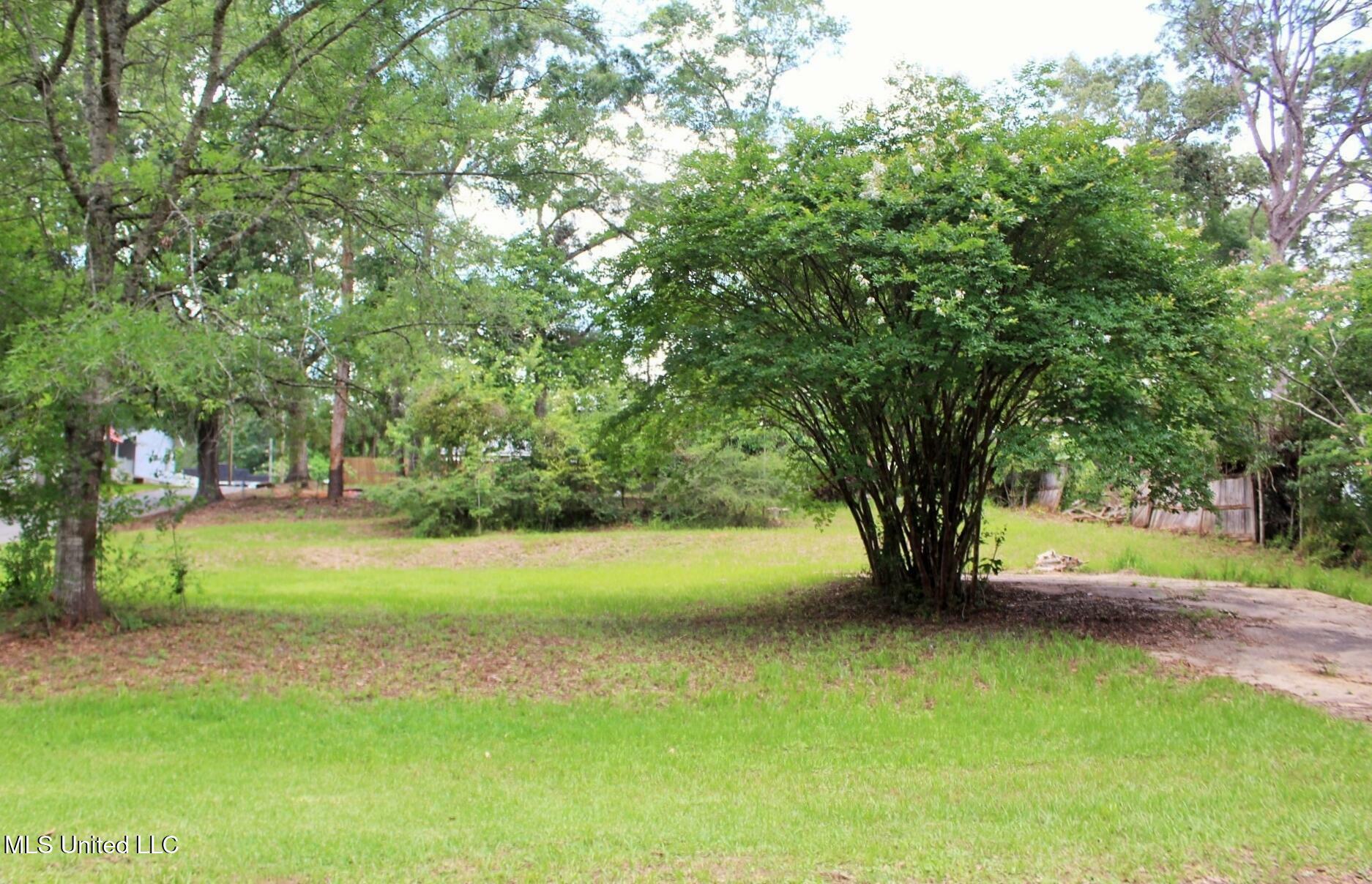 Property Photo:  0.41ac Dill Street  MS 39452 