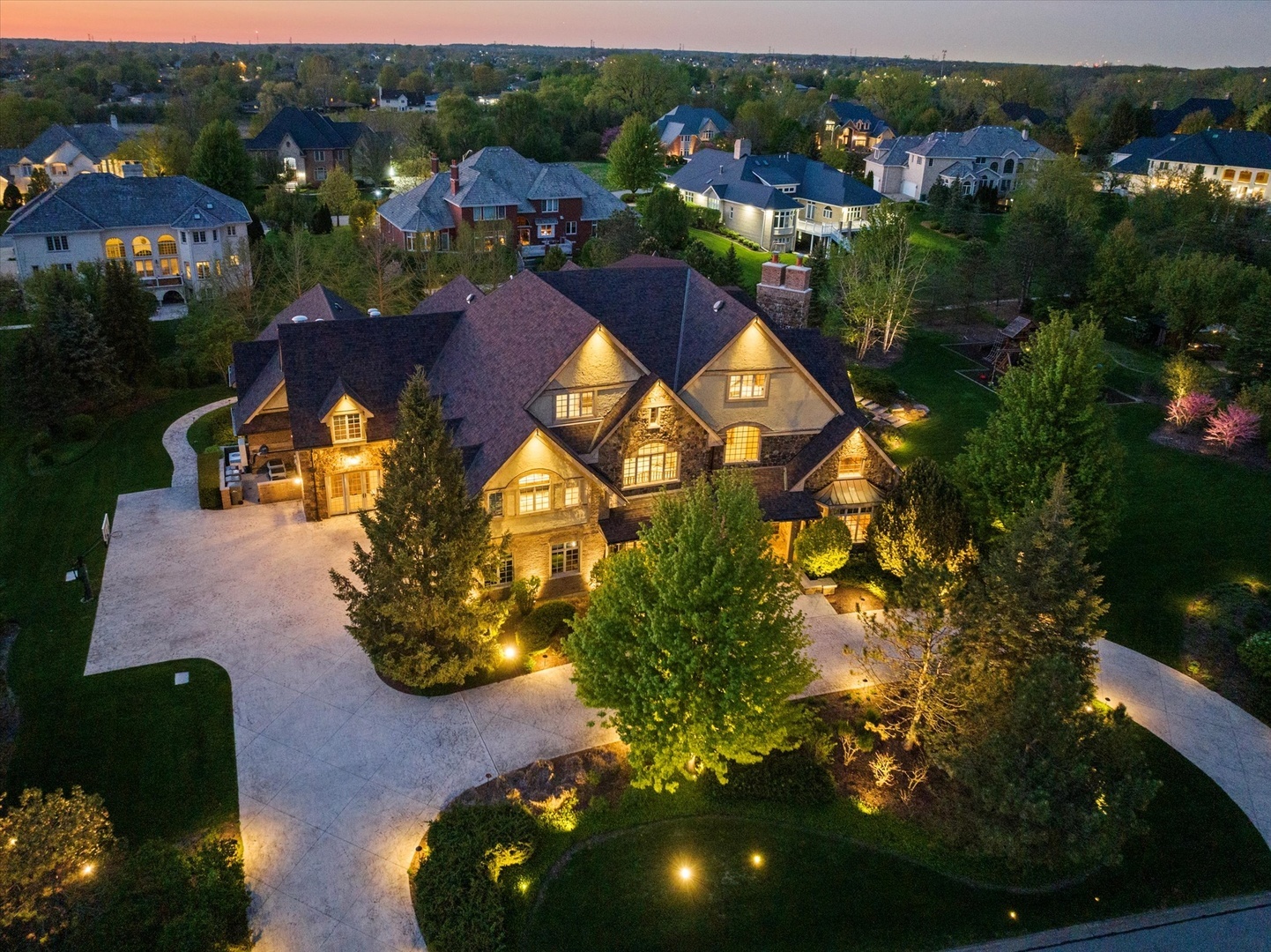 Property Photo: 137 Singletree Road IL 60467