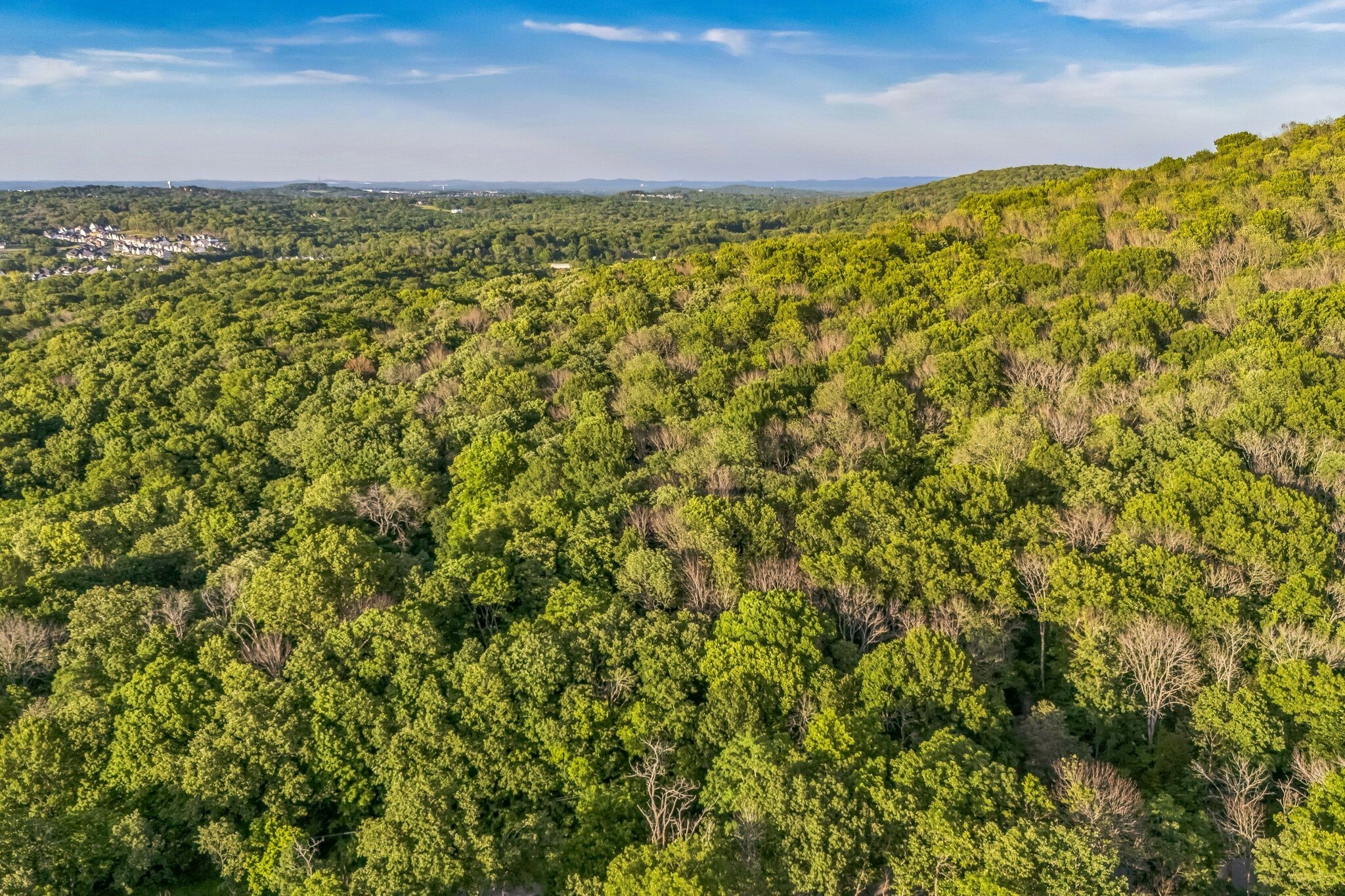 Property Photo: 0 Sanford Rd TN 37135