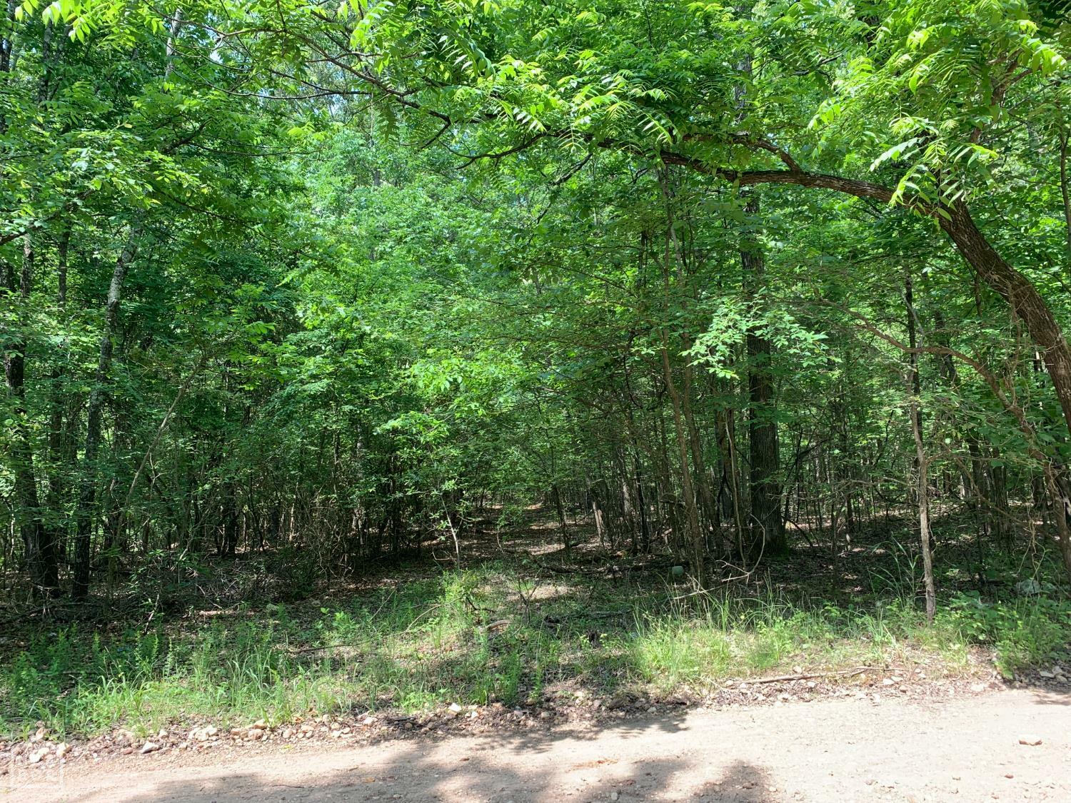 Property Photo: 10 County Road 331 AR 72416