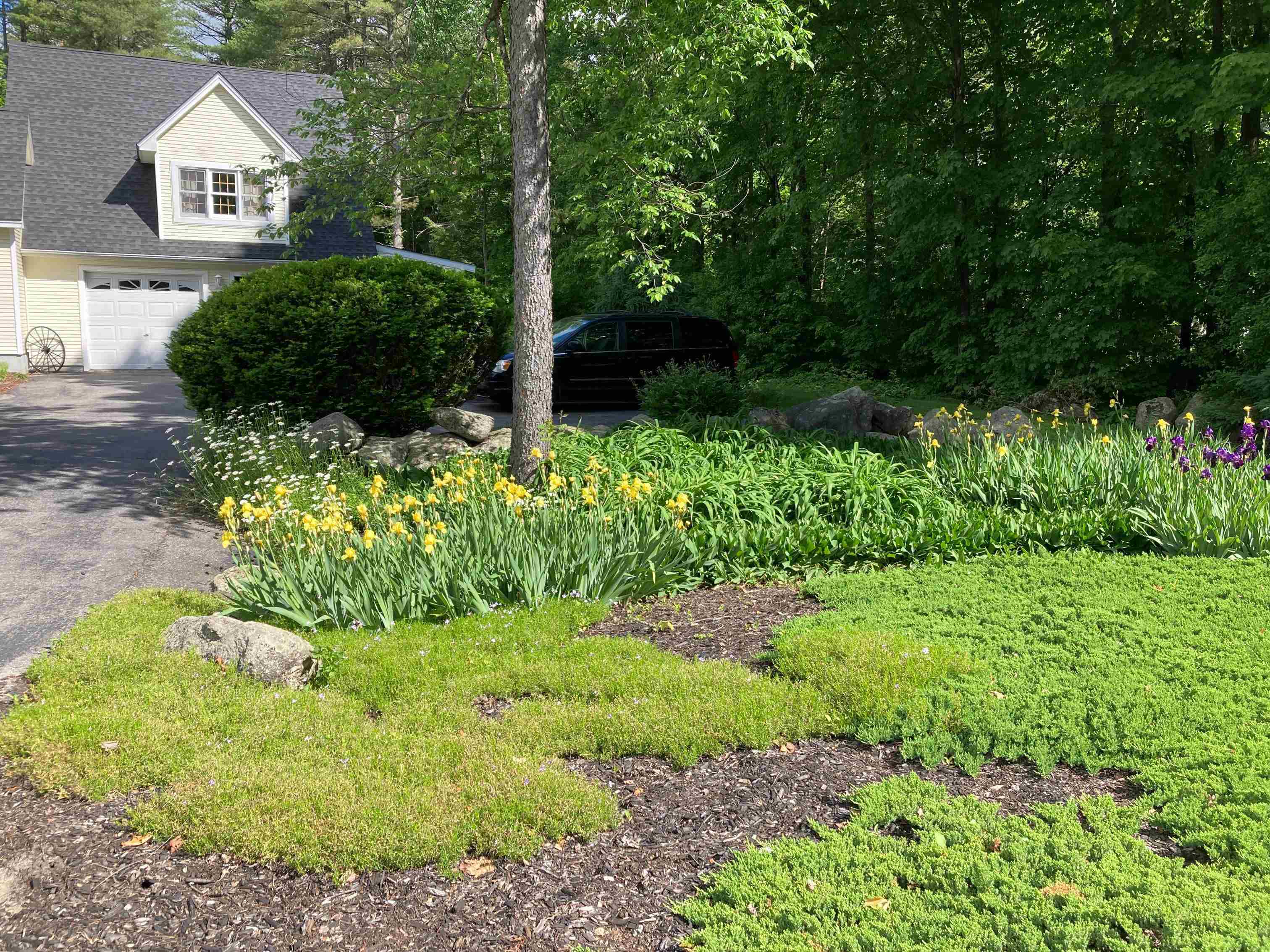 Property Photo:  210 Hopkinton Road  NH 03301 