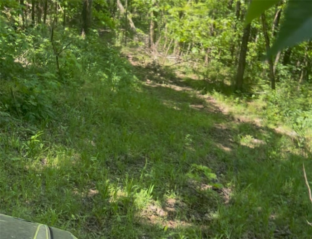 Property Photo:  Madison 295  AR 72727 