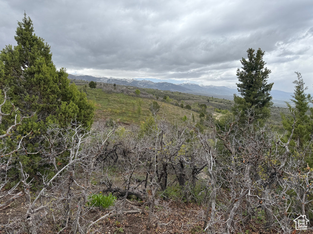 472 N Shortcreek Dr 472  Mt Pleasant UT 84647 photo