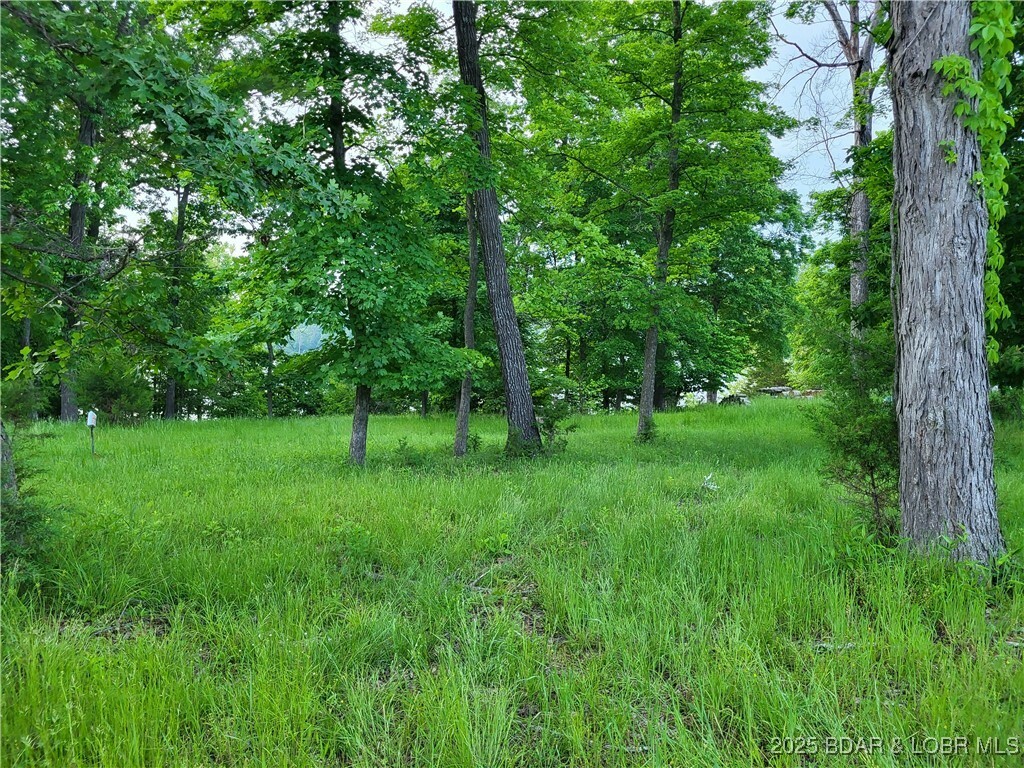 Property Photo: Emerald Hills Drive Phase 5 Lot 2 MO 65326
