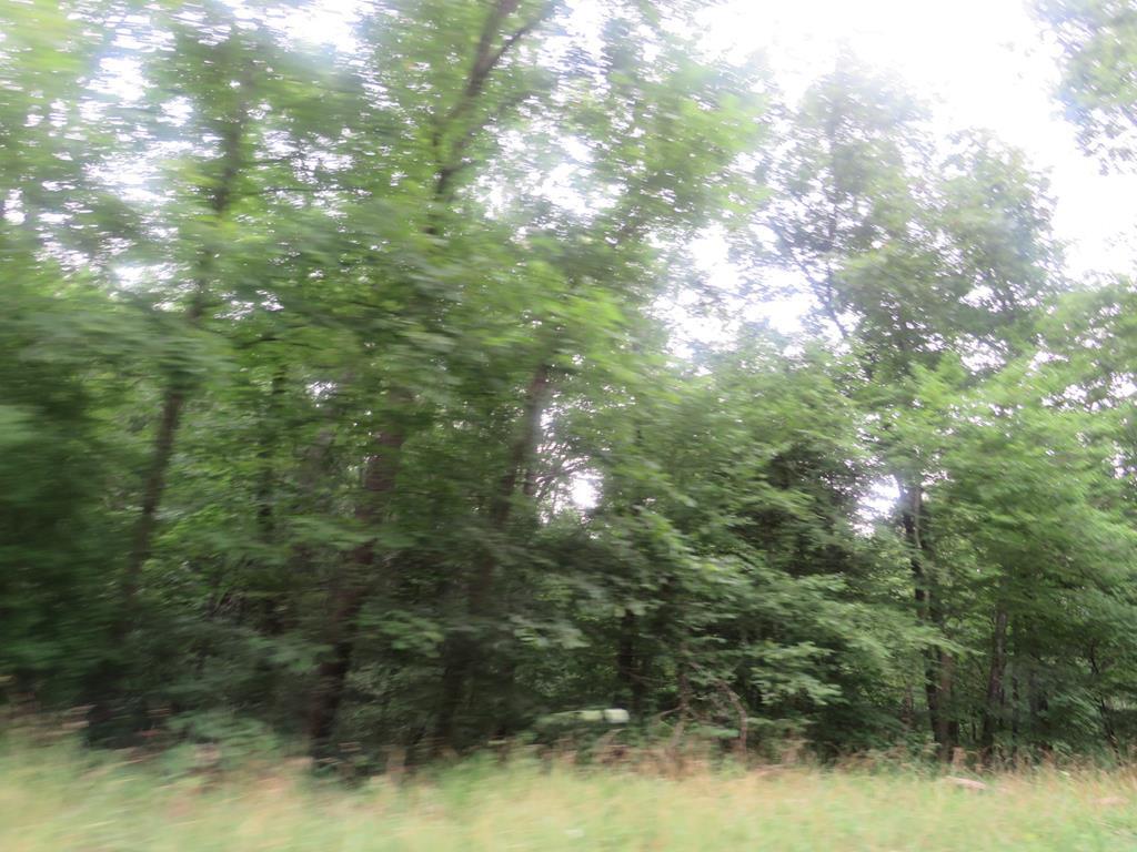Property Photo:  00 Ky Rt 1624  KY 41219 