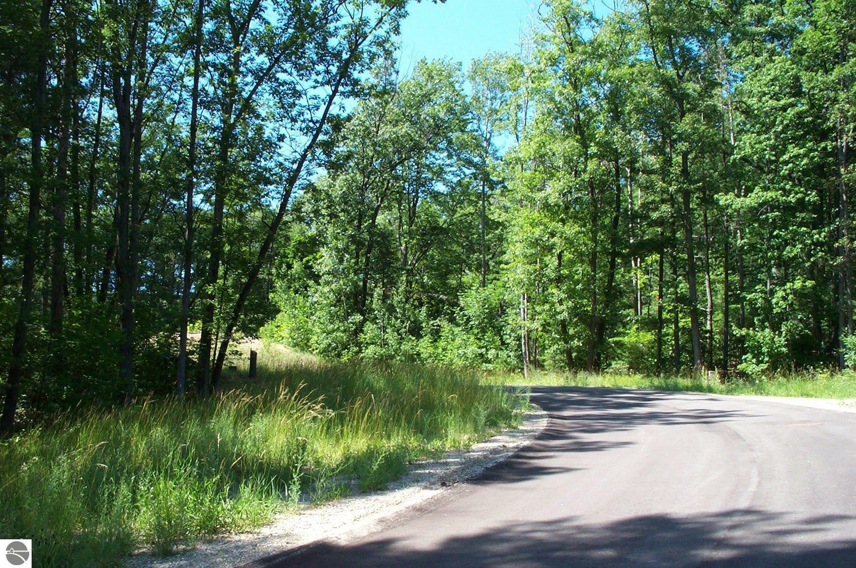 Property Photo: 6342 Cedarmere MI 49686