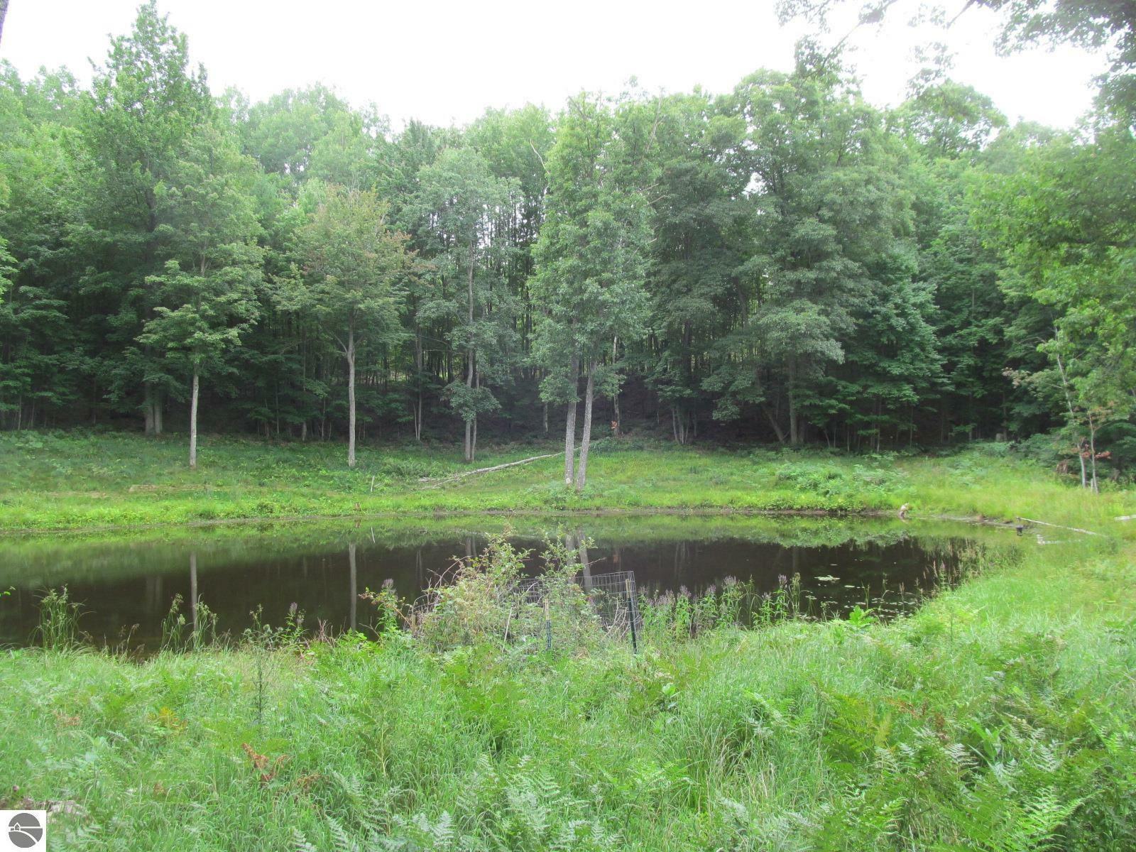 Property Photo: 00 S 47 3/4 Road Forest Dr. MI 49601