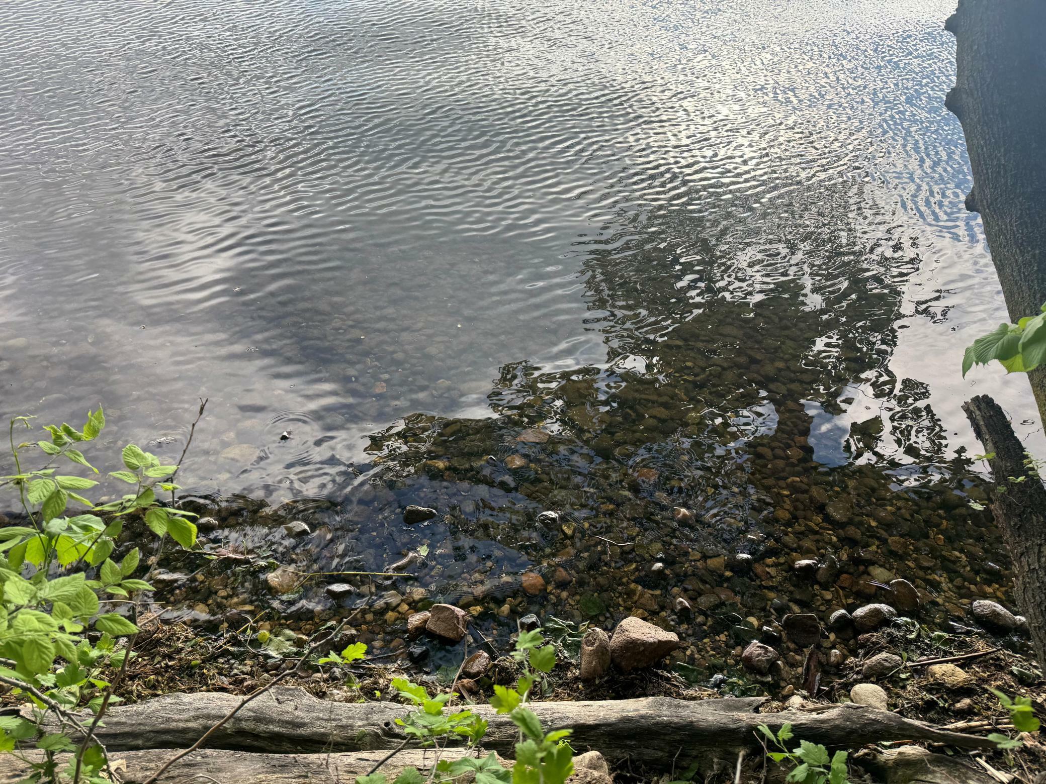 Property Photo: Lot 3 Block 1 746th Avenue MN 55325