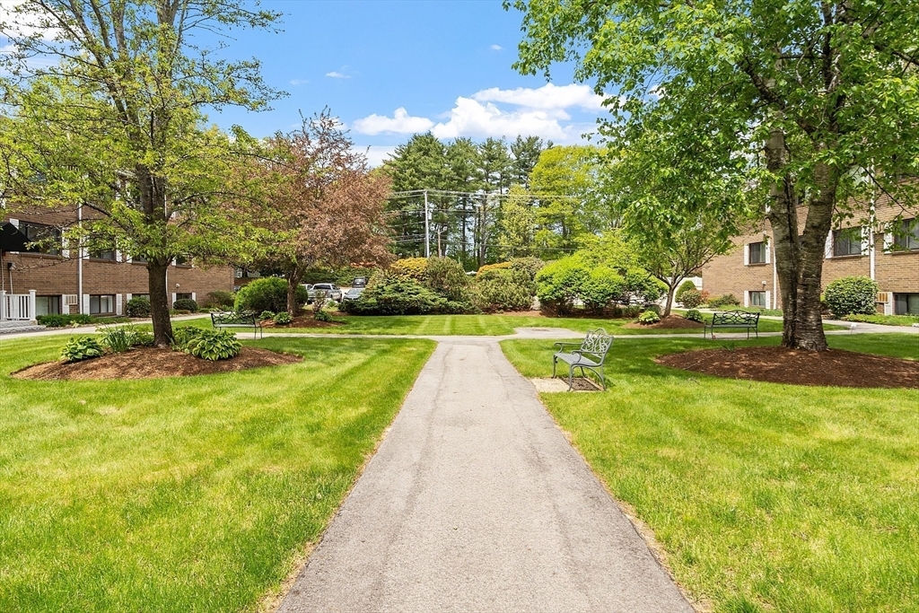 Property Photo:  45 Macy St B-205  MA 01913 