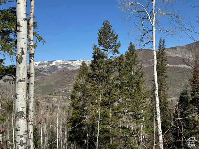 Property Photo:  662 Red Fir Way 662  UT 84055 