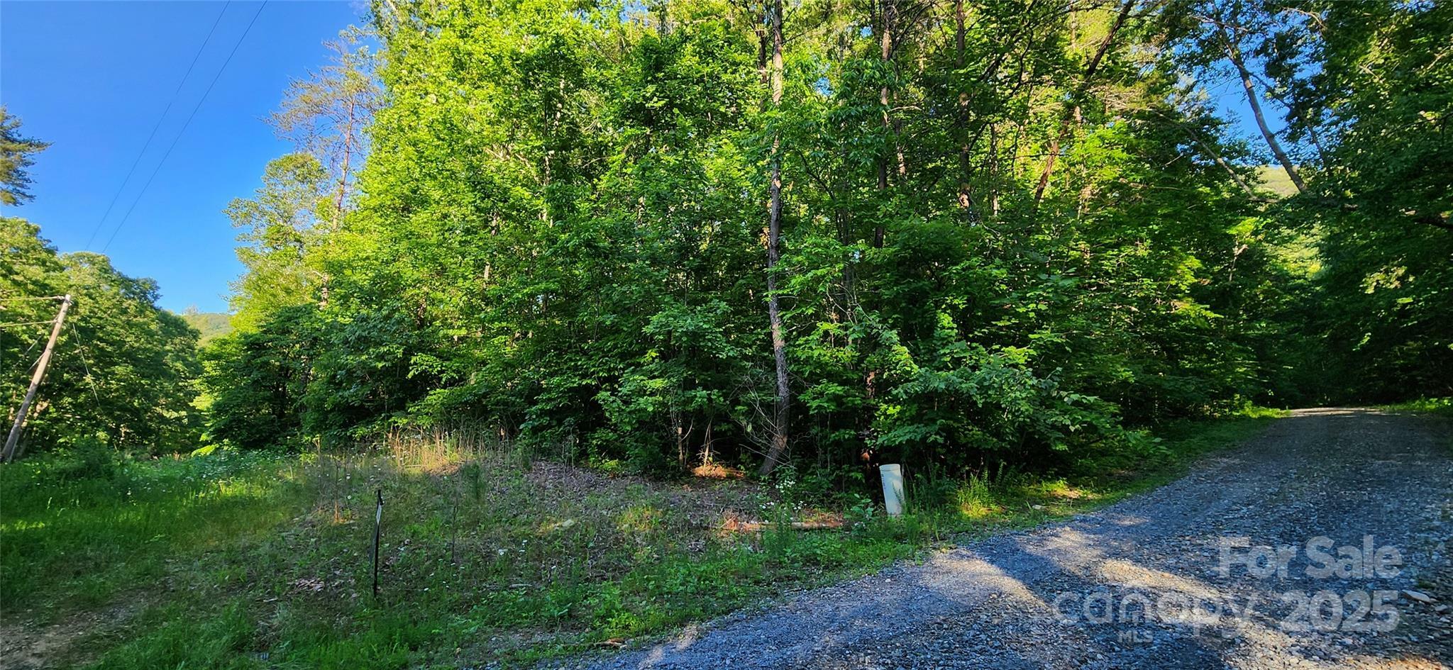 Property Photo: 0 Buffalo Creek Road 74 NC 28746