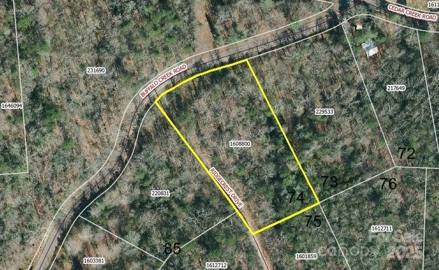 0 Buffalo Creek Road 74  Lake Lure NC 28746 photo