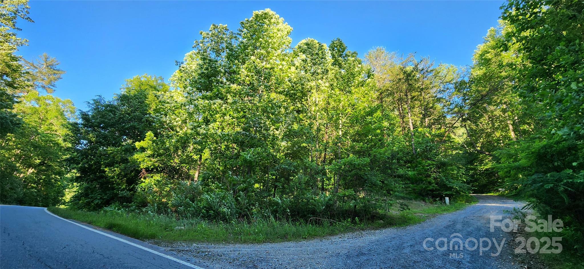 Property Photo: 0 Buffalo Creek Road 74 NC 28746