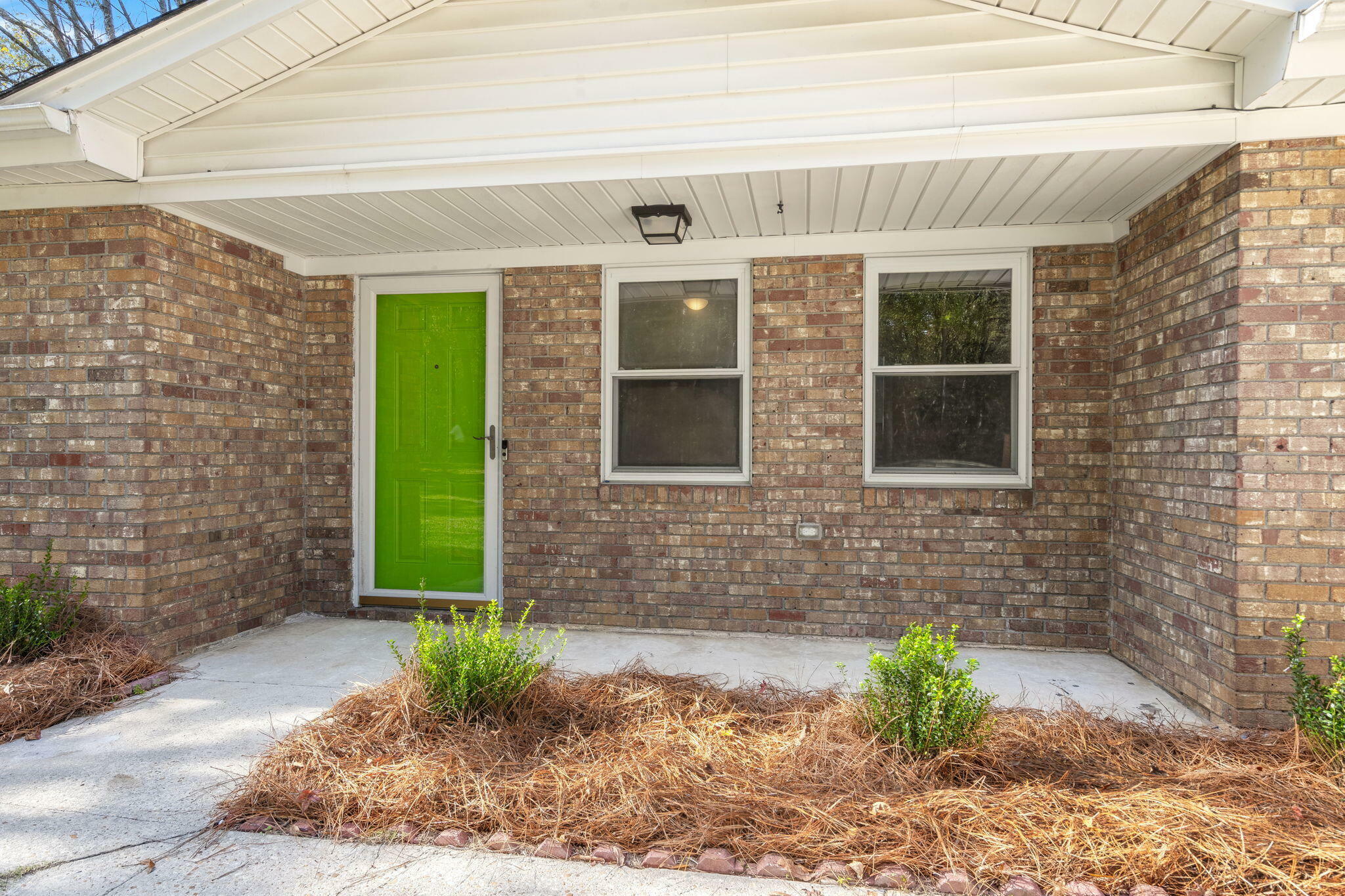 Property Photo: 205 Owens Drive SC 29485