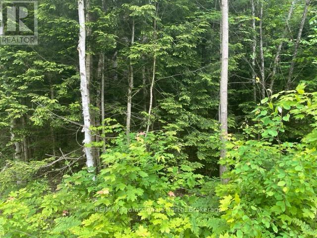 Property Photo:  0 Big Hawk Lake Road  ON K0M 1S0 