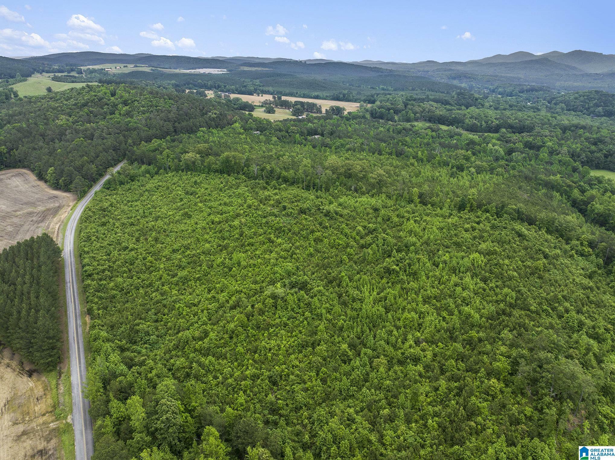 Property Photo: 0 County Road 12 23.940 AL 35960