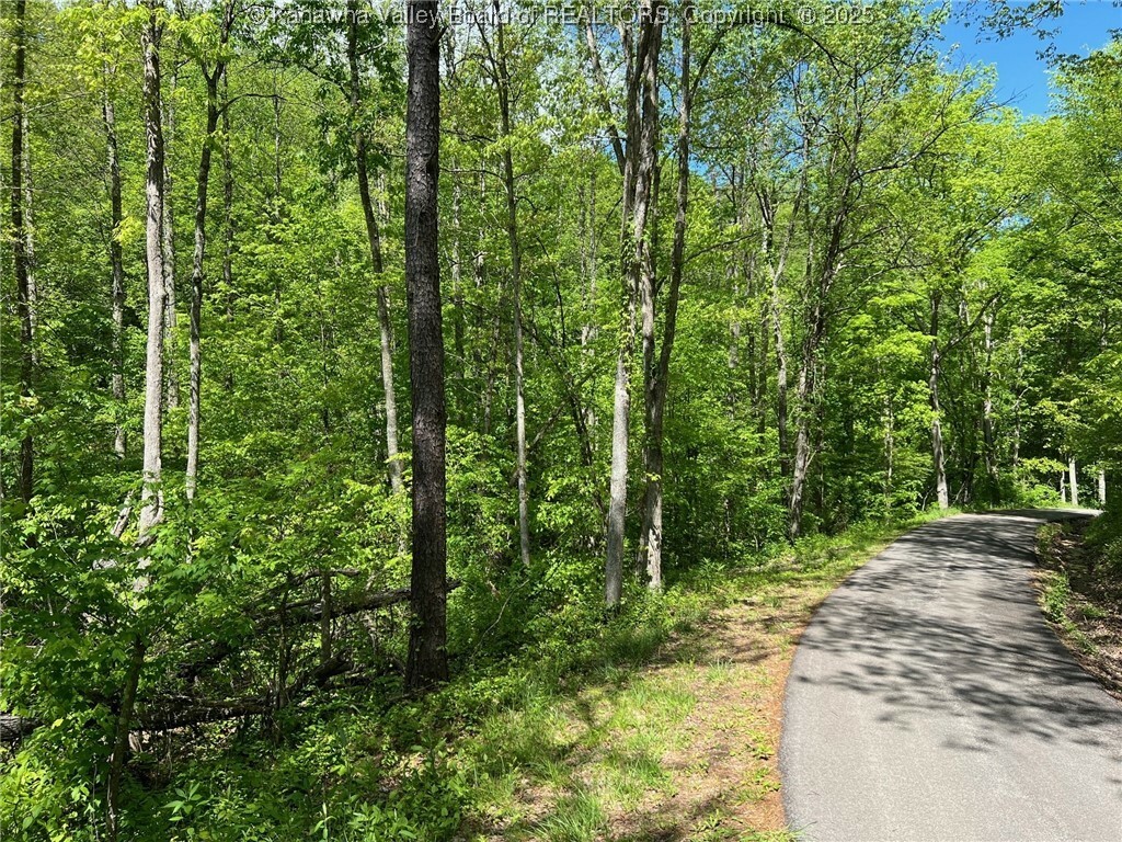 Property Photo: 0 Crooked Creek Road WV 25309