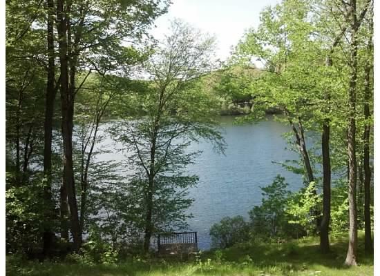 Property Photo: 88 Lakeview Drive NY 12564