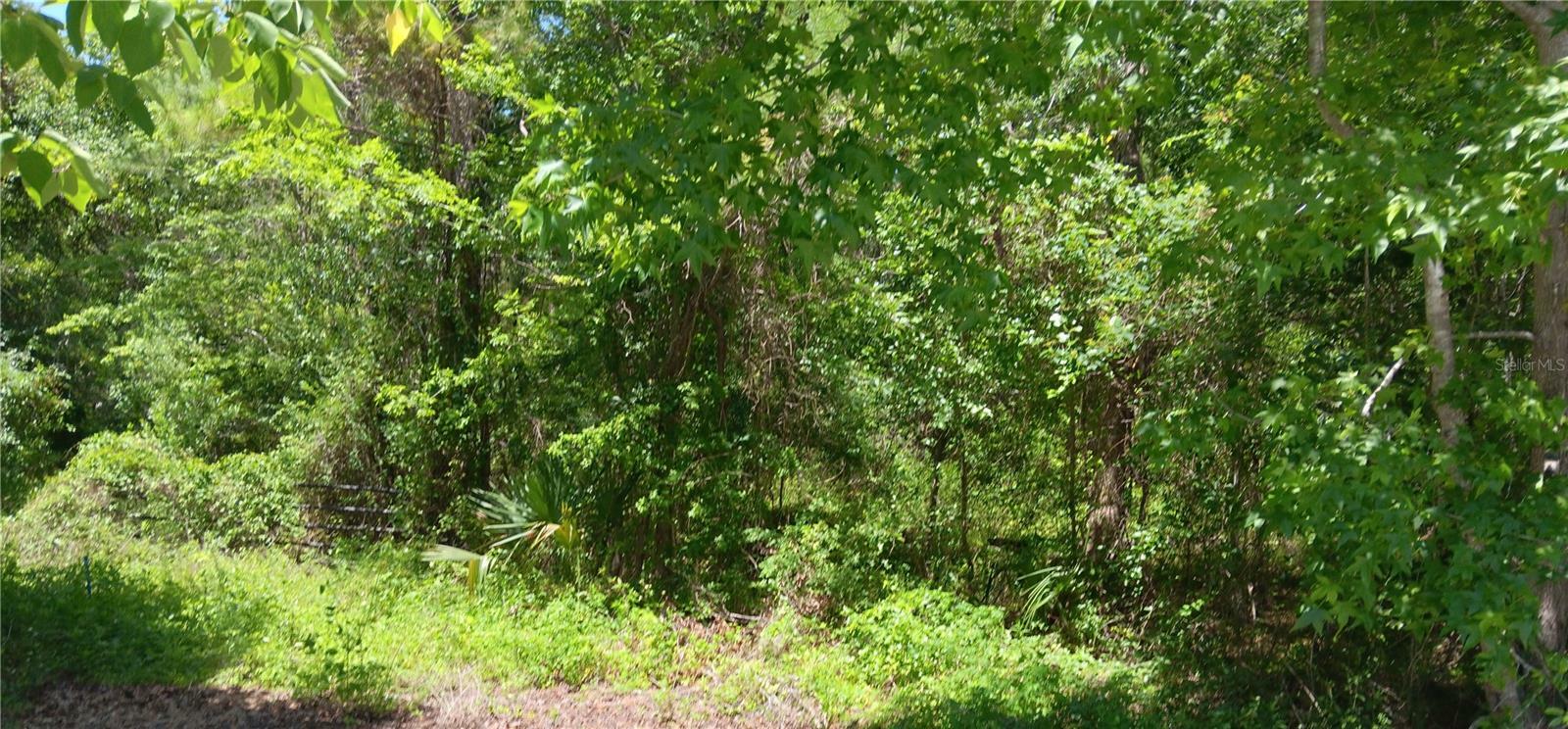 Property Photo:  00 NW 82 Court  FL 34482 