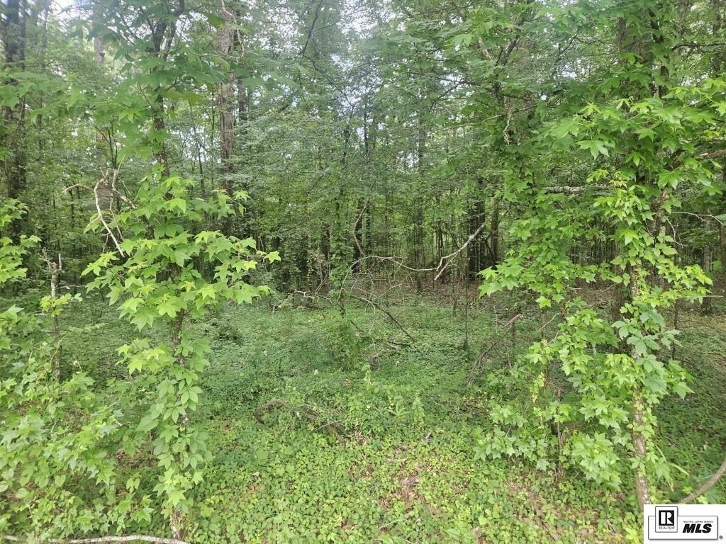 Property Photo: 0 Garret Road LA 71202