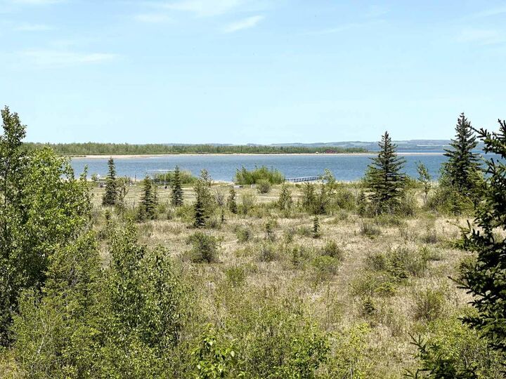 Photo de la propriété:  40422 Range Road 10 296  AB T0C 0J0