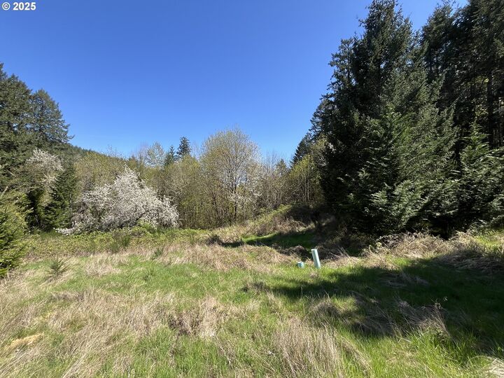 Property Photo:  David Hill Rd  OR 97116 