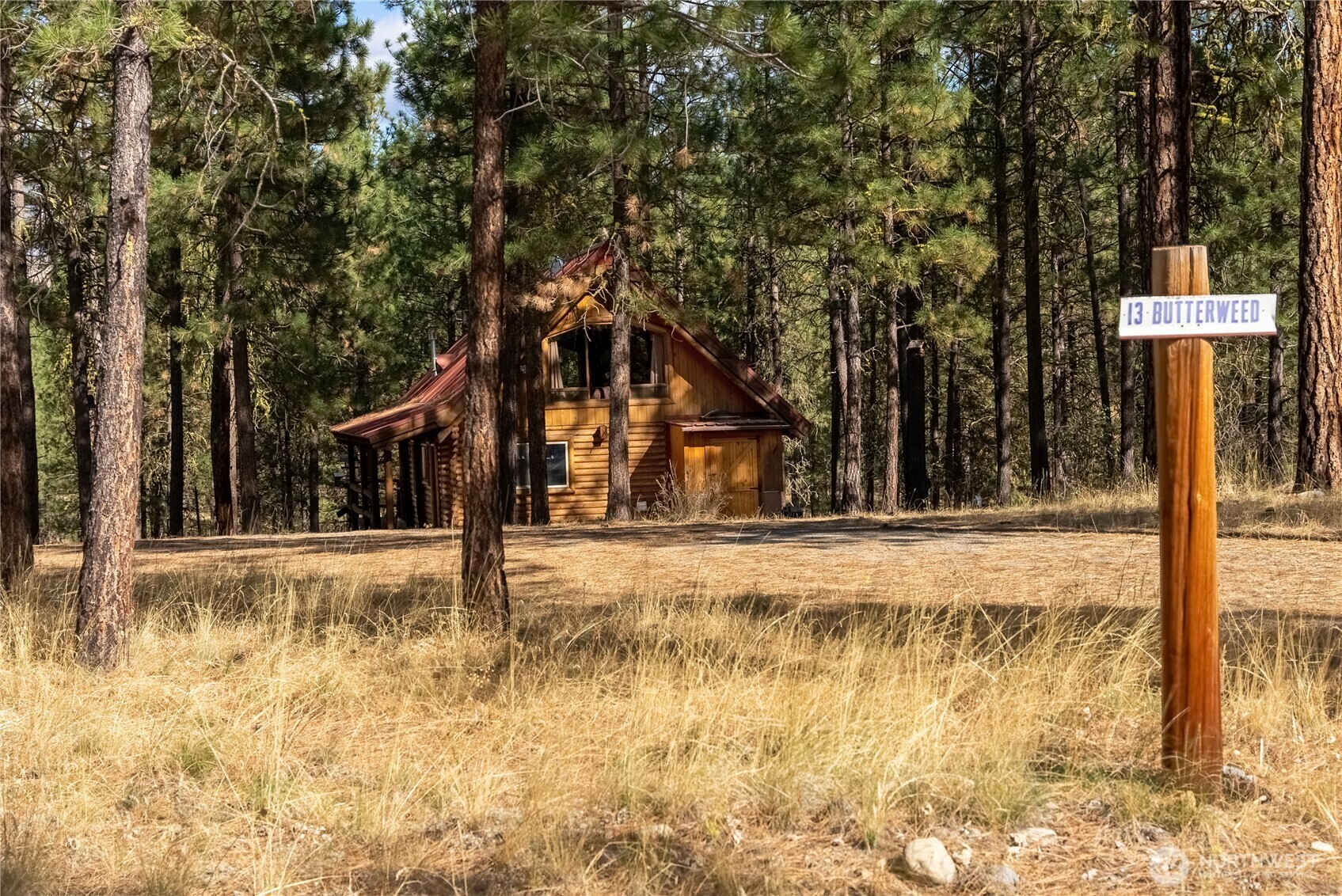 13  Butterweed Road  Winthrop WA 98862 photo