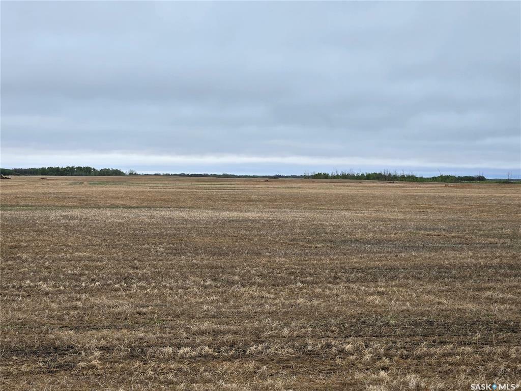 Property Photo:  Rural Address  SK S0A 3R0 