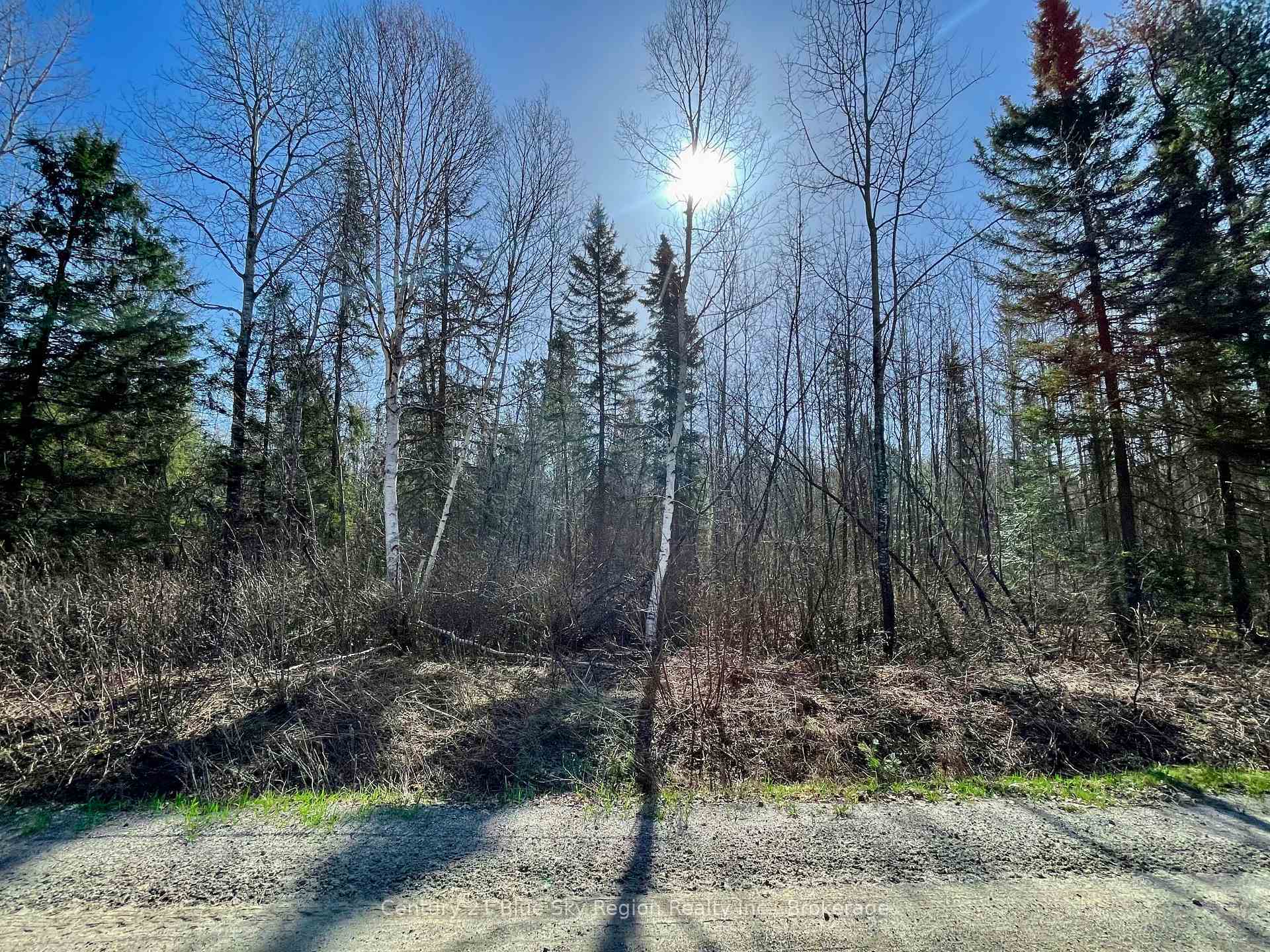 Photo de la propriété:  Part 2 Bourbonnais Road  ON P0H 1M0 