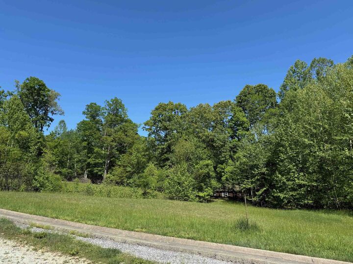 Property Photo:  Lot #7 Meadow Glen Road  KY 41139 