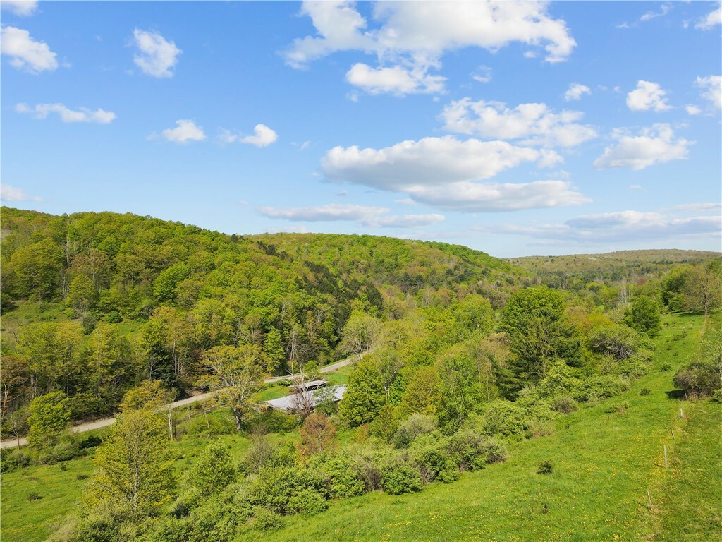 Property Photo: 725 S Hill Road NY 14883