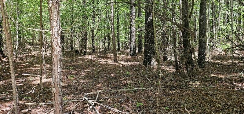 Property Photo: 0 Sunset Rd TN 38585