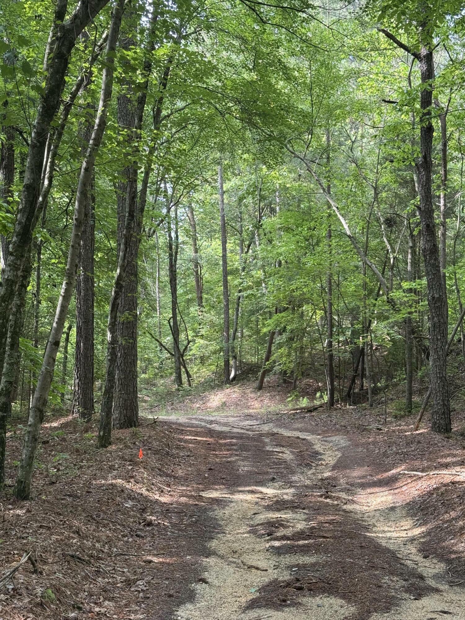 Property Photo: 0 Colbert Hollow Road GA 30739