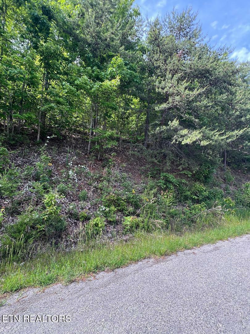 Property Photo: Lt 225 Clinch View Rd TN 37825